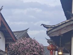 -民食香·腊排骨野生菌美食(木府店)