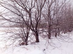 -亚布力新体委滑雪场