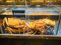 -青蓬蒸汽海鲜·深圳老字号·团建聚会(壹方城店)