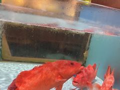 -阿伟海鲜楼·福建菜(延寿店)