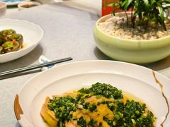 -绿波廊(豫园店)