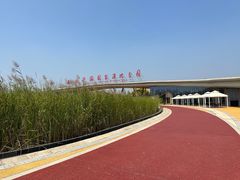 -西安浐灞国家湿地公园