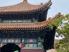 -柿子树炭烤羊腿(金台路店)