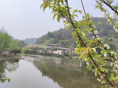-楠柏弯休闲山庄(梨花溪店)