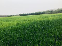 -汉长安城未央宫国家考古遗址公园