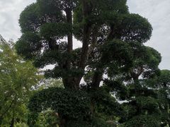 -武汉紫薇都市田园