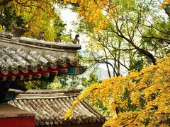 -香山公园