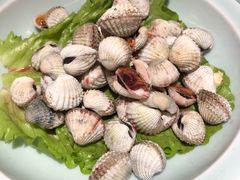 -老宁波1381餐厅(桃源中路店)