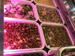 -探烧自助烤肉火锅(牛栏前店)