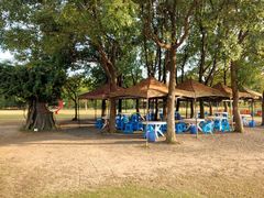 -梁鸿国家湿地公园