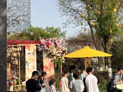 -武汉园博园(武汉自然博物馆)