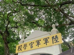 -鱼珠码头(轮渡站)
