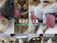 -科道动物医院·急重症中心(万达院)