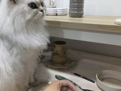 -朝画惜时·陶艺·手作·团建