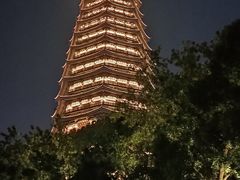 -红梅公园