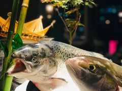 -广州富力君悦大酒店·凯菲厅