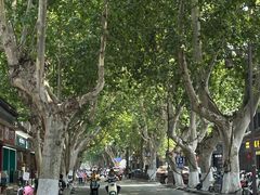 -大麒麟阁(扬州东关街店)