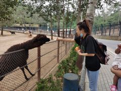 -大连森林动物园