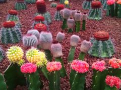 -南通洲际绿博园