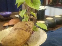 -长颈鹿咖啡(大学路店)