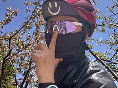 -高东镇樱花园