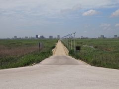 景点-南汇嘴观海公园