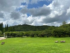 -苏州上方山国家森林公园