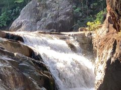 -广州白江湖森林公园