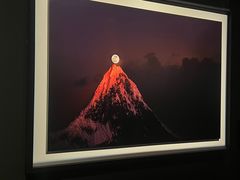 -罗红摄影艺术馆