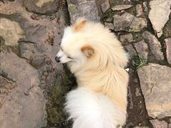 -雨花胜境