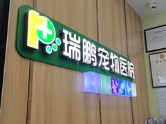 -瑞鹏宠物医院·夜间急症·心超·猫科(祖庙分店)