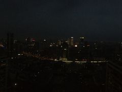 -上海波特曼丽思卡尔顿酒店