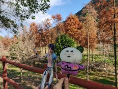 -广州市石门国家森林公园