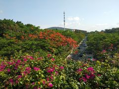 -云溪植物园