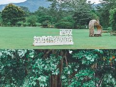 -中国科学院西双版纳热带植物园