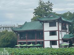 -桂湖森林公园