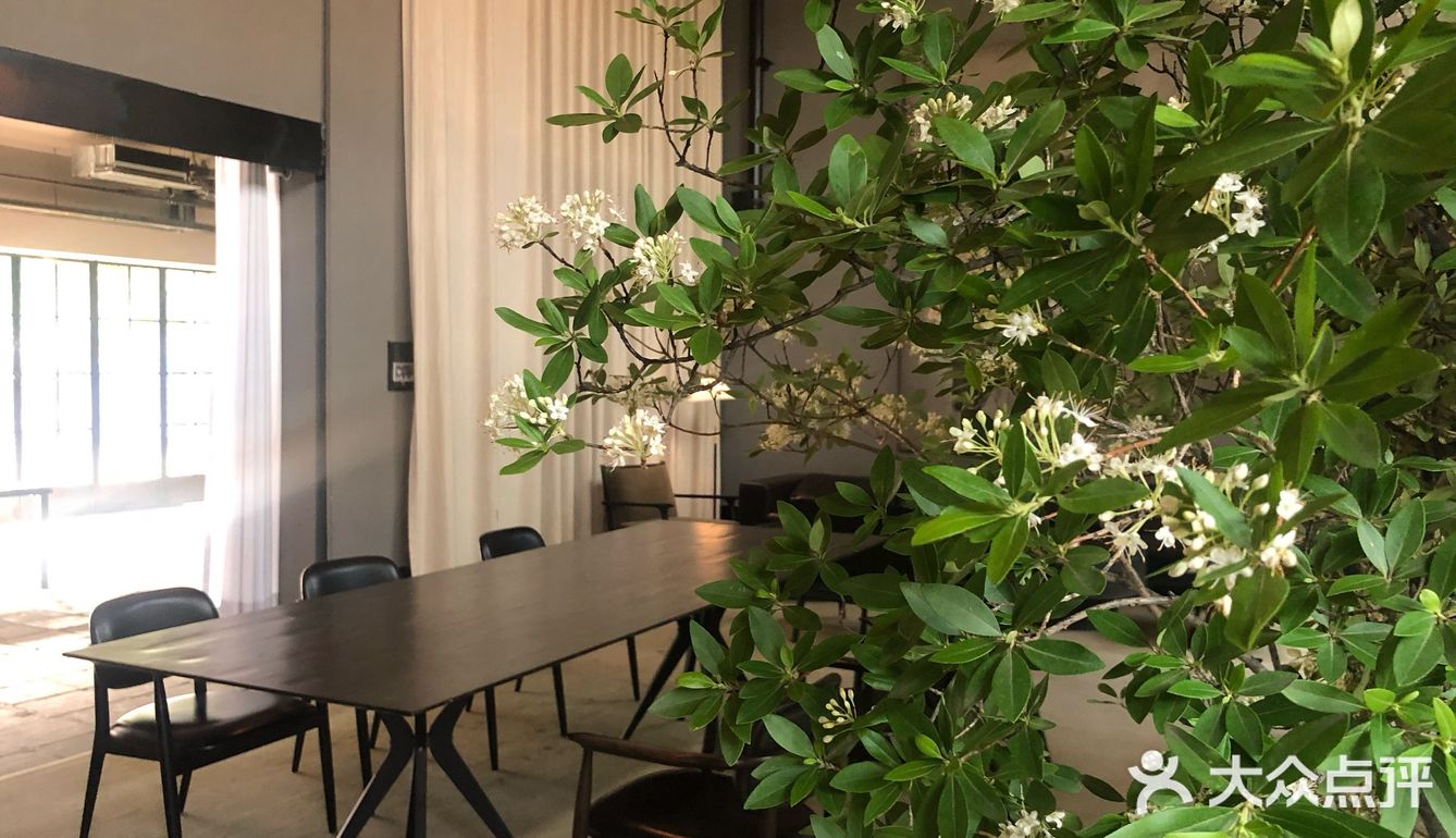 美术馆里的下午茶