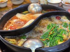 -乳仔牛牦牛汤锅 烤羊排(松潘古城店)