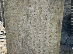 -上海佘山国家森林公园天马山园