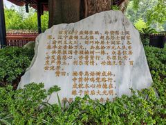 -峨眉山报国寺