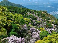 -梧桐山风景名胜区