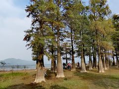 -四明湖