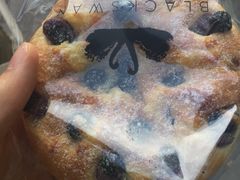 -BLACKSWAN黑天鹅(环球店)