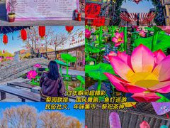 -茯茶镇