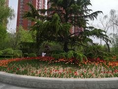 -迎泽公园