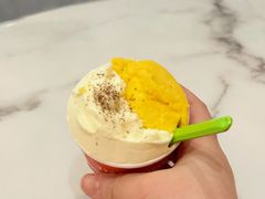 花椒凤梨-Dal Cuore 达可芮冰淇淋(陕西北路店)