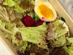-SHUBO蔬小盒(三里屯店)
