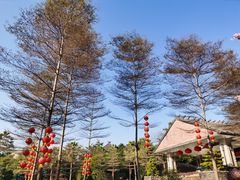 -森波拉火山温泉