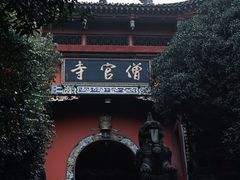 -铁山坪森林公园