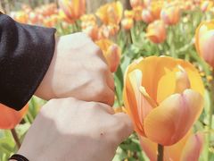 -东平国家森林公园